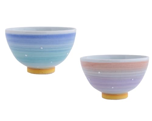 夫婦茶碗 そらのいろ セット パープル ブルー ギフト 結婚祝い お揃い お茶碗 食器 ペア 日本製 ビスク BISQUE