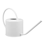 Capacité de stockage d'eau : grâce à sa conception à capacité, cet arrosoir vous permet d'arroser facilement vos plantes en pot et vos massifs de fleurs, pour un entretien plus efficace de votre jardin, aussi bien à l'intérieur qu'à l'extérieur. arrosoir d'intérieur en métal