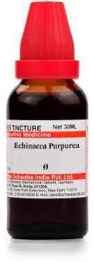 Schwabe Echinacea Purpurea Q 30 ML (B0CQCSKBJ6) Amazon Price History, Amazon Price Tracker