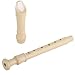 German-Style Soprano Recorder, Baroque Fingering, C Key, Plastic With Storage Bag, Ideal For Beginners And Adults