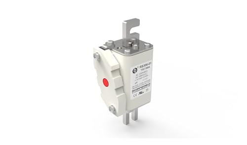 Fusible haute vitesse boulonné de sécurité supérieure RS306-01-T5Z 1250V - 4