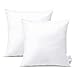 Artscope Lot de 2 Bedding Coussins de Garnissage 50 x 50 cm - Coussin à Recouvrir - Oreillers Intérieur - Rembourrage Coussins - Housse en Mélange de Polyester