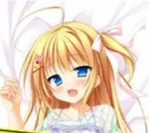 ウクライナ東部 アーチ様専用2月15日予定 花咲ワークスプリング 琴吹ヒカリ 抱き枕カバー Cda 純正大セール Www Cfscr Com