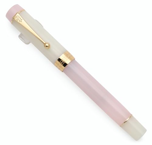 JINHAO 100 Fountain Pen with Ink Converter (Medium Nib 0.7mm