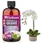 PHALAENOPSIS