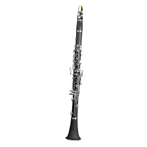 Clarinette Si Bémol Sans Fuite d'Air - Instrument Vent Spécial Examen Débutant