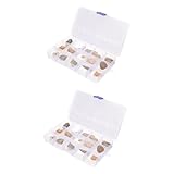 Outil pédagogique : fabriqué en matériau de haute qualité et de substance, ce produit est sûr pour vous et vos familles, modèle réel