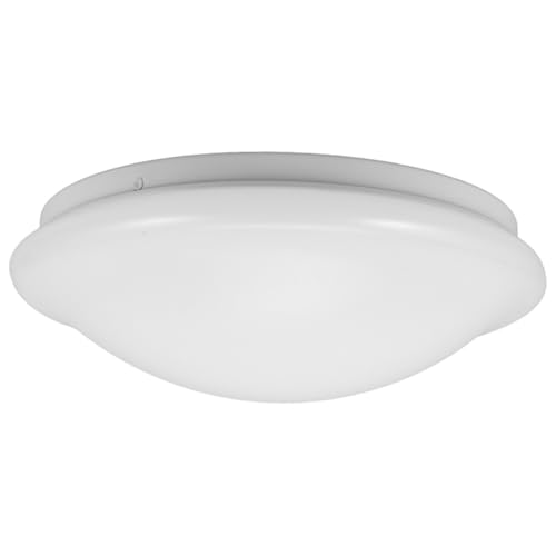 Alipis z?㫒? ی^VvfUC VƖJo[ ϋvfލ̗p ȒPt | d֗ _Qp