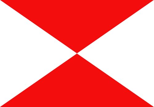 Drapeau Paraná avec œillets pour une suspension murale facile et rapide