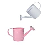 Decorative Mini Tin Watering Can - 0.05Gal Cute Metal Jug for Hand Crafts,Garden-Theme Parties,Plant Pots, Home Decor,Housewarmings, Fun Birthday Gift for Girls and Boys (P/W, S)