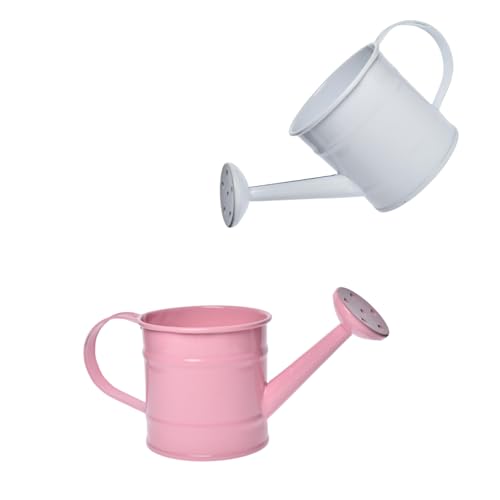 Decorative Mini Tin Watering Can - 0.05Gal Cute Metal Jug for Hand Crafts