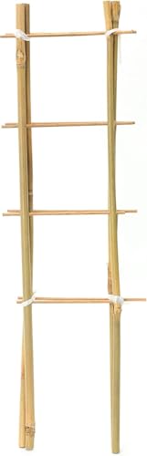 Natural Eco-Friendly Bamboo Cane Plant Pot Ladder Trellis Outdoor Garden Planter Climbing Plant Support Frame Stake Stick Pole (60cm, 1)