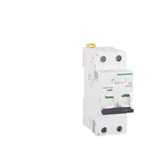 Disjoncteur IC65N 2P 63A avec protection différentielle 30mA pour tableau