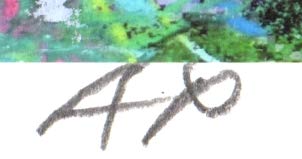 Amazon | 石井清 「コスモス・B・G」 花 絵画 コスモス 阿蘇 風景画 絵