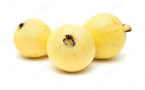 Bloom Fresh Yellow Guava, 16 Packs of 1 lb, Sweet