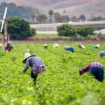 The Michigan Ag Today Podcast for 4/10/26