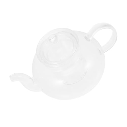 iplusmile Heat Resistant Glass Teapot With Infuser Loose Leaf Tea Pot For Home Office Use Borosilicate Glass Design