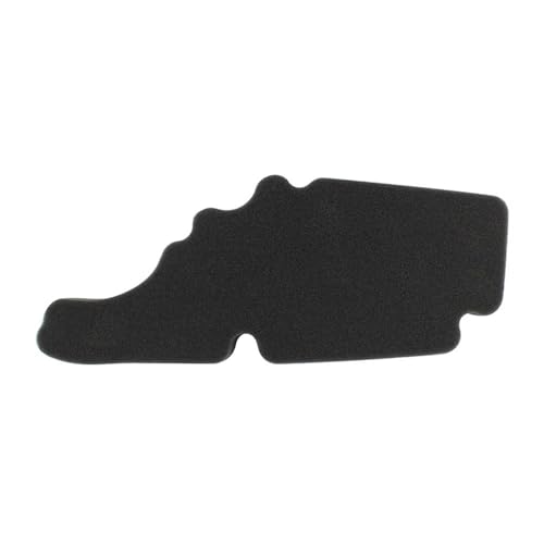 Filtre à air moto haute efficacité pour modèles Fly et Sprint LXV