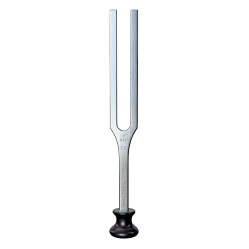 DocCheck Stimmgabel "Planng" – 440 Hz, Ideal für medizinische Diagnosen in HNO und Audiologie, Robust und einfach zu reinigen, Inkl. Fuß, Farbe: Silber, Material: Edelstahl