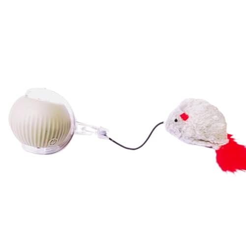 Interactive Cat Toys Ball, Automatic Rolling Ball for Indoor Cat, Intelligent Cat Toys with LED Lights, Rechargeable Smart Teasi
