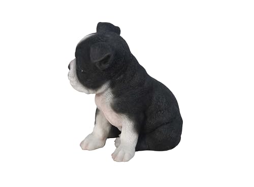 Hi-Line Gift Ltd Sitzender Boston Terrier Welpen-Statue