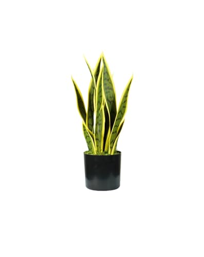 Planta de Sansevieria Artificial de Polietileno con 12 Hojas, Altura 45 cm, Planta Artificial de Interior, Maceta con Musgo Ø12,5 x 11,5 cm, decoración del hogar