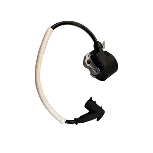 Bobine d'allumage FS220 résout les pannes de moteur à chaud