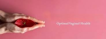 Miniatura 5 de Vulva Care - Cápsulas probióticas y prebióticas femeninas para el equilibrio del pH vaginal y el apoyo del olor, mezcla diaria de lactobacillus para