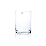ABMESSUNGEN: Höhe 20 cm, Durchmesser 15 cm. Die maximale Füllmenge beträgt in etwa 3500 ml.