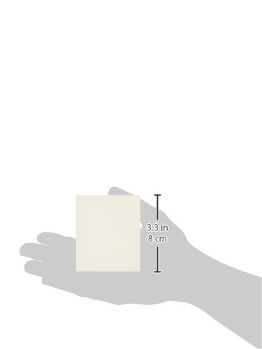 Special Tea Company 100 Count Tea Bag Envelopes/Favor Bags