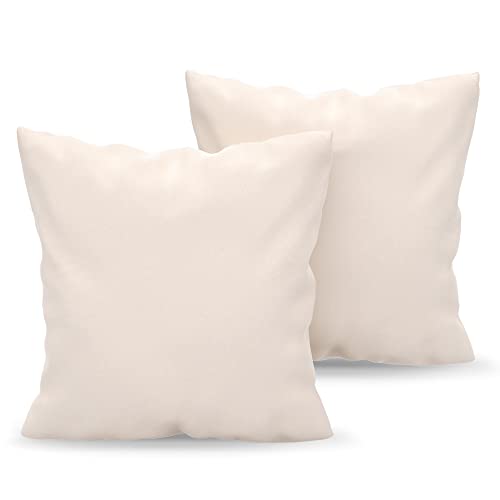 Dreamzie Fundas de Almohada (Juego de 2) - para Las Almohadas 60 x 60 cm, Beige, Microfibra (100% Poliéster) - Fundas de Cojines de Calidad con una Suavidad Incomparable