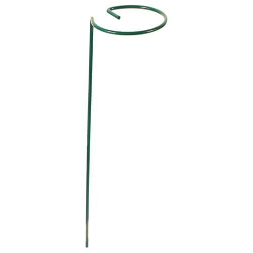 SEWOART Per Piante da Supporto per Piante Rampicanti in da Realizzato in Adatto per Pothos Monstera Siltepecana Filodendro e