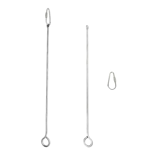 2pcs Hanging Bird Treat Skewer Parrot Fruit Feeder, 10.2 Inch Stainless Steel Bird Fruit Fork Food Holder Foraging Toy for Parrot Parakeet Conure, LXLVOUEG