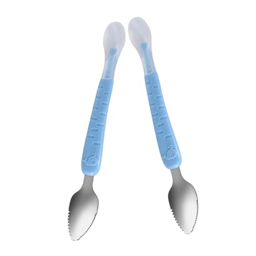 HEMOTON Fruit Spoon Set 2pcs Stainless Steel Scraping Spoons Silver for Boys and Girls Dessert and Puree Feeding