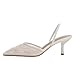 Cantianshu Fashion Mesh Slingback Pumps Shoes for Women Ankle Strap Pointed Toe Pumps Stiletto Heels Backless Dress High Heels Evening Party Pumps Beige Size Size 41