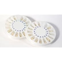 Typodont FG3 with 32 Removable Teeth. Compatible with Frasaco Typodont Teeth Teeth Set