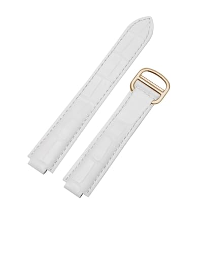 JeBG u[o[uXbgƌ݊̂郌U[EHb`oh16`9mmA18`11mmA20`12mmA22`14mm̃TCYɑΉApvfB[XEHb`Xgbvł