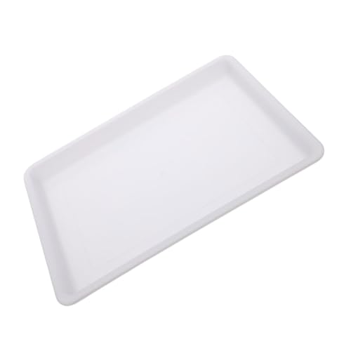 ERINGOGO Water Rubbing Painting Disk Craft Tray Plastic Trays Multi-Functional for Classroom Art Projects