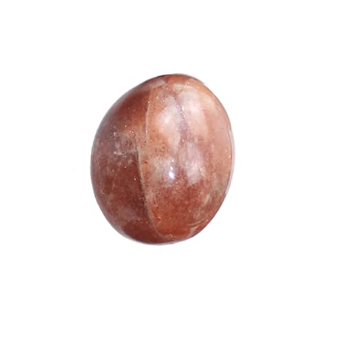 BTMDECOR ^uVRNX^q[OXg[Zbg ? CLAґzAAMtgp̌ꂽ΂̋lߍ킹? oNGlM[NX^RNV, One Size, mE