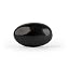 Black Shaligram