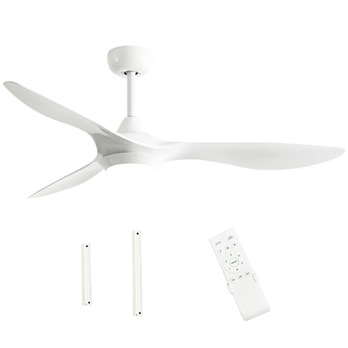 ceiling fans