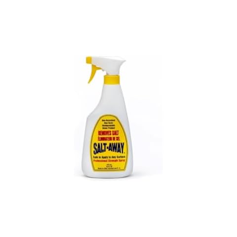 Salt-Away Professional Strength Spray - 16 fl oz. Cover