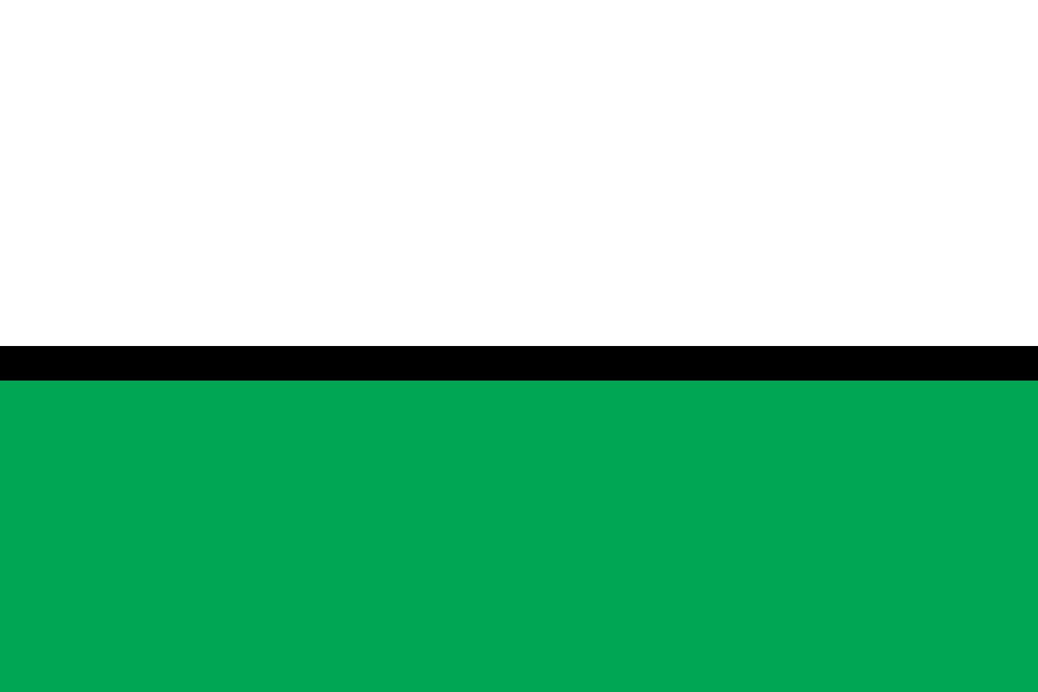 Drapeau XL Novokuznetsk au quotidien pour décorer votre salon