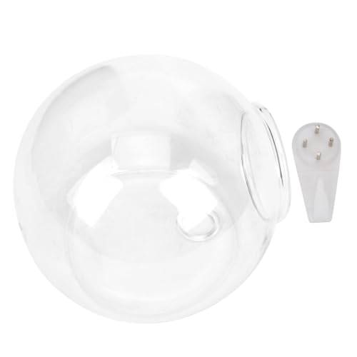 FONDOTIN Jarrón Colgante de Vidrio Transparente para Pared Macetero Decorativo con Soporte para Plantas y Flores Interior y Exterior