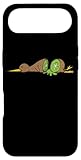 kiwi bird kiwi fruit ratite maori