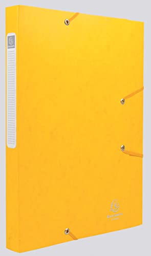 Exacompta 18506H - Carpeta de proyecto con goma, color amarillo
