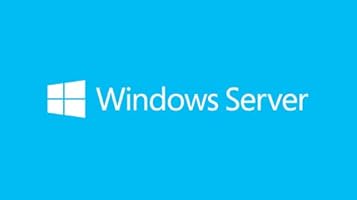 Microsoft 803DBS2 Windows Server 2019 Lizenz 1 Cal Benutzer OEM