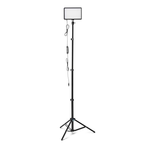 新品✨撮影用ライト 照明ライト 持ち運び楽々 カメラ 照明 撮影用ライト」の人気商品一覧 | 安い商品を通販サイト