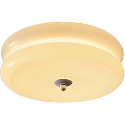 Bauhaus Lamparas Ventilador VUCICA Lámpara de techo nórdica antigua for dormitorio, pasillo, balcón, 18W/24W, lámpara de techo de cristal Bauhaus, estudio retro, sala de estar, comedor, guardarropa, lámpara colgante de techo (C