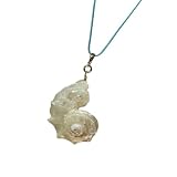 Kalttoy Cadena de clavícula temática oceánica con colgante de concha, collar de cordón de ajuste cómodo para trajes casuales y ocasiones formales. Collar de concha
